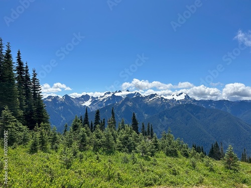 Snow Capped Mountains