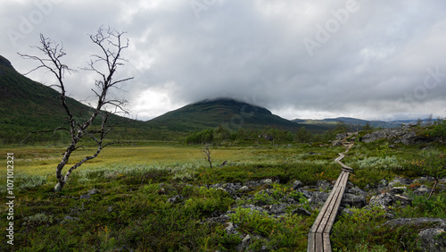 Canvas-taulu Arctic wilderness with a plank path of Kungsleden through green bogs ,swamps and hills