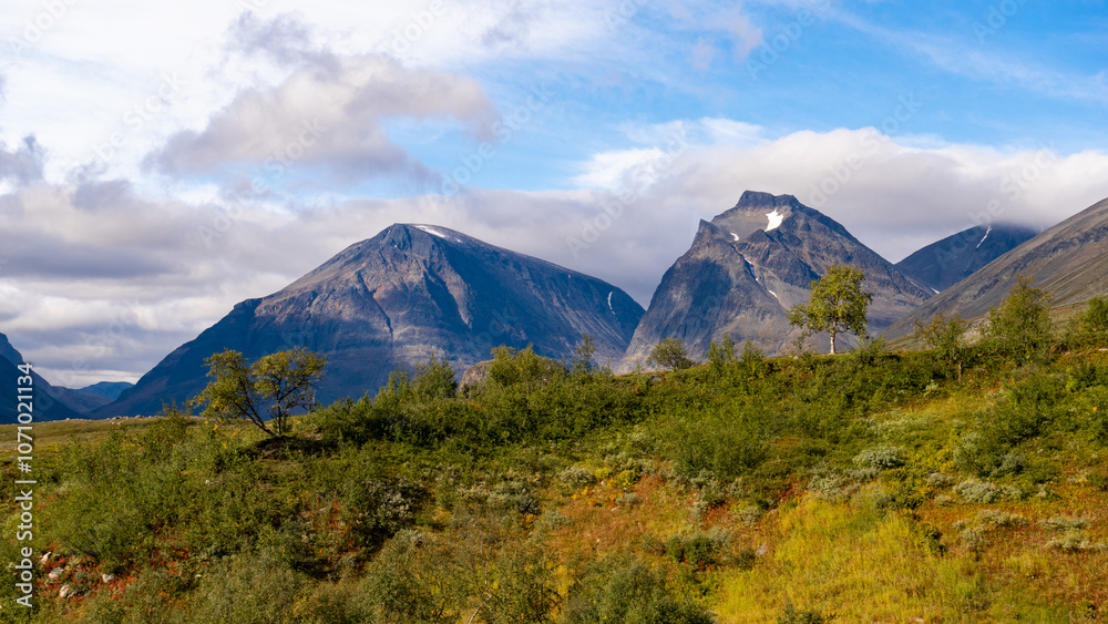 Nordic landscape with green forest in valley with scenic view towards the mountains and peaks on horizon during beautiful autumn day in swedish lapland nature near Kebnekaise and Tarfala Nordic landscape with green forest in valley with scenic view towards the mountains and peaks on horizon during beautiful autumn day in swedish lapland nature near Kebnekaise and Tarfala