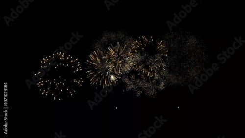 Fireworks Animation on Black Screen Footage