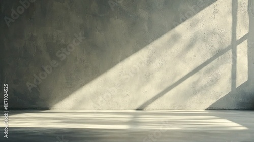  A black-and-white photo of a room illuminated by sunlight streaming through the window, with a feline perched on the floor