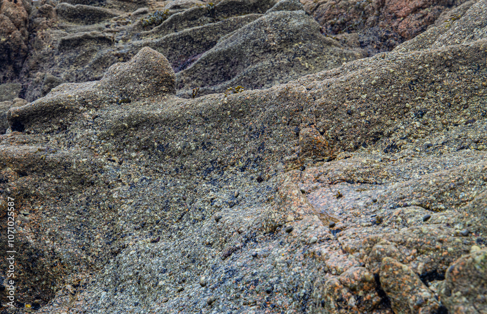 Wall stone nature at the A Coruña beach, perfect for wallpapers, background and home decoration Wall stone nature at the A Coruña beach, perfect for wallpapers, background and home decoration