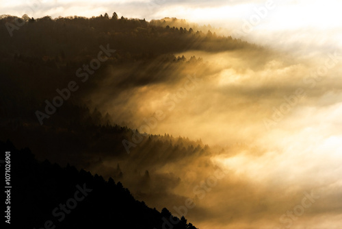 Illuminating the Path to Clarity and Inspiration