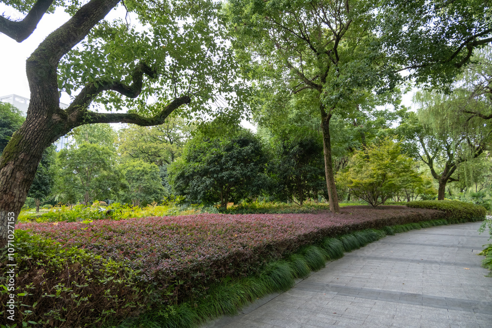 A curved pathway bordered by lush greenery. A layered planting design lines the walkway, featuring low shrubs with a reddish-purple hue, bordered by dense, dark green ornamental grasses. A curved pathway bordered by lush greenery. A layered planting design lines the walkway, featuring low shrubs with a reddish-purple hue, bordered by dense, dark green ornamental grasses.