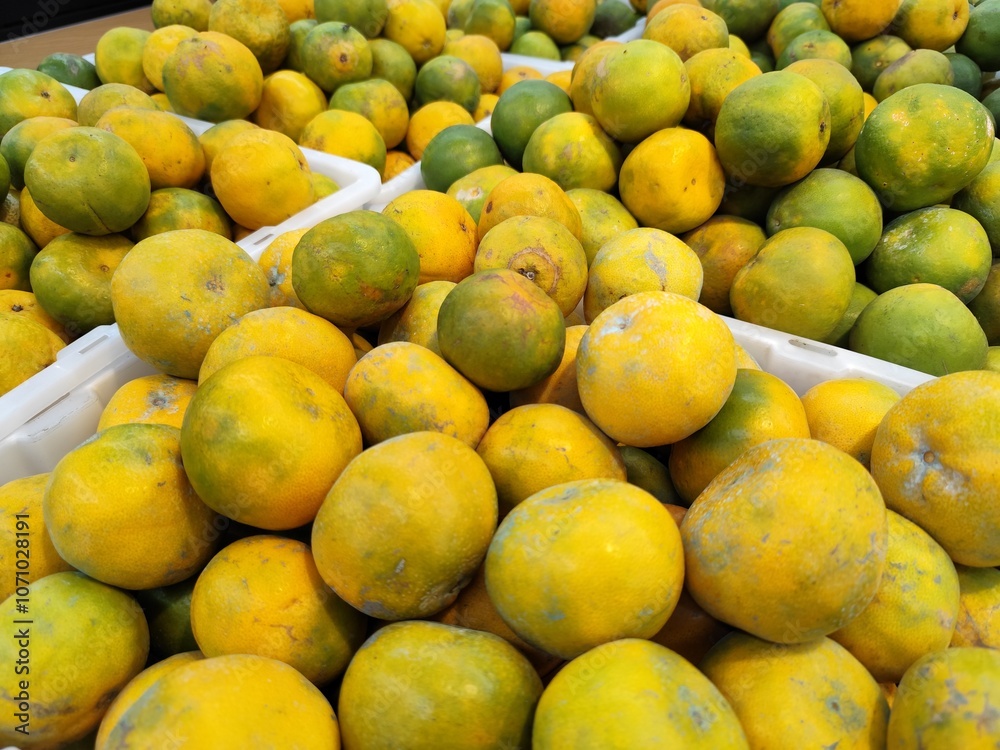 Oranges fruit in containers. Close-up photo of oranges Oranges fruit in containers. Close-up photo of oranges