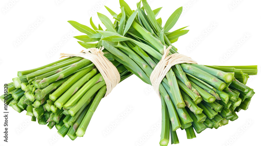 Fresh Green Asparagus Bundles Arranged on a Transparent Background Generative AI Fresh Green Asparagus Bundles Arranged on a Transparent Background Generative AI
