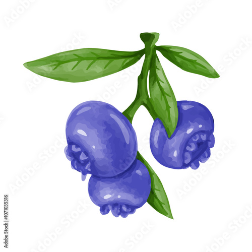 Juicy,ripe wild berries of healthy blueberries.Vector graphics.