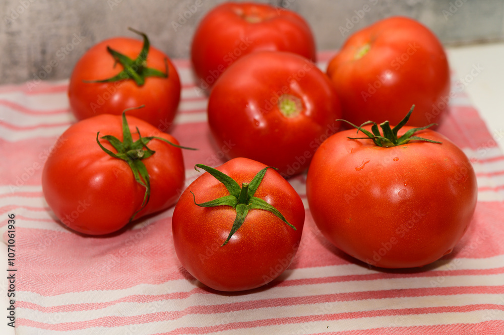 Freshly picked vibrant tomatoes arranged beautifully on a striped cloth in a cozy kitchen setting Freshly picked vibrant tomatoes arranged beautifully on a striped cloth in a cozy kitchen setting