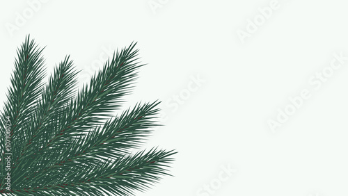 Christmas tree branches decoration on plain background with copy space