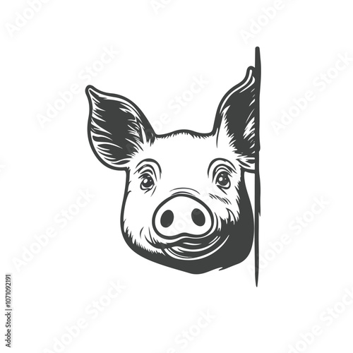 Curious Pig Peeks From Behind Wall Icon for Designs