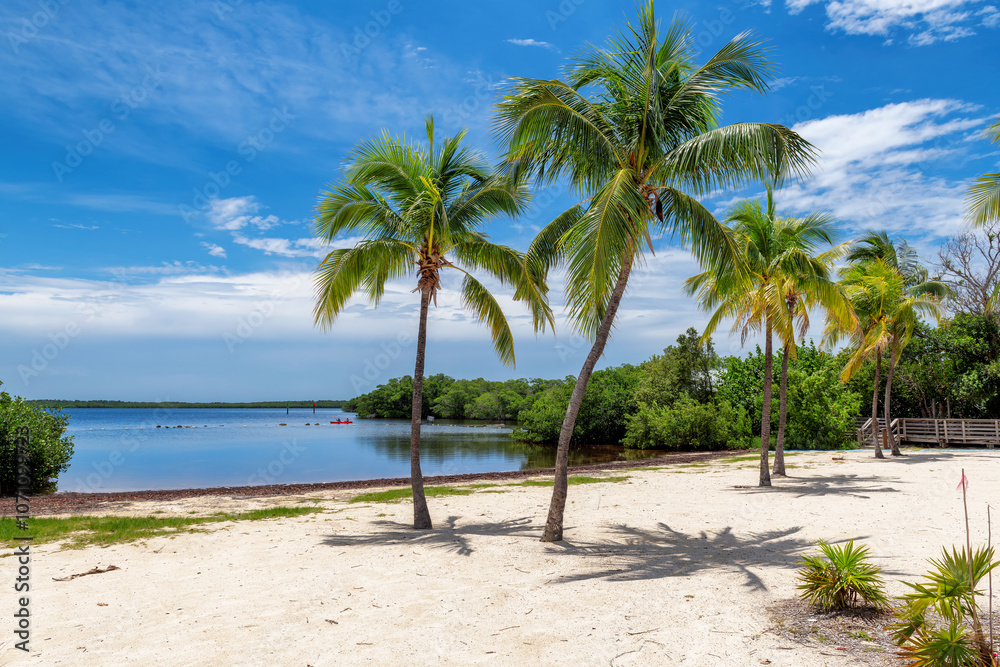 Sunny beach with coco palms and tropical sea in Key Largo beach, Florida.
