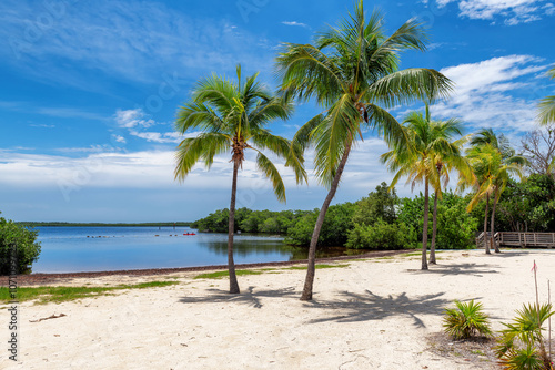 Obraz na płótnie Sunny beach with coco palms and tropical sea in Key Largo beach, Florida. w salonie