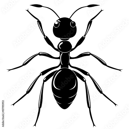 Black Ant Silhouette: A detailed, bold silhouette of a black ant, capturing its intricate anatomy and formidable presence. Ideal for illustrations, designs, and projects related to nature, insects.