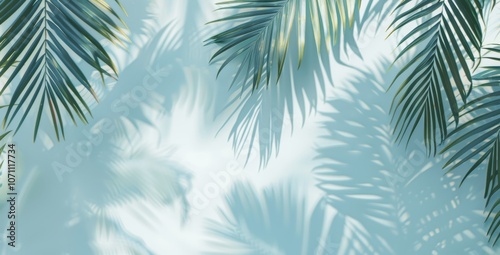 Soft Blurred Palm Leaf Shadows on White Wall - Light Blue and Gray Minimalistic Summer Background