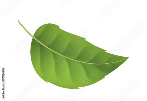 Realistic leaves. Tropical and exotic leaf or foliage. Fresh bloom and blossom plant. Template and layout. Natural flora and wild life. 3d vector illustration photo