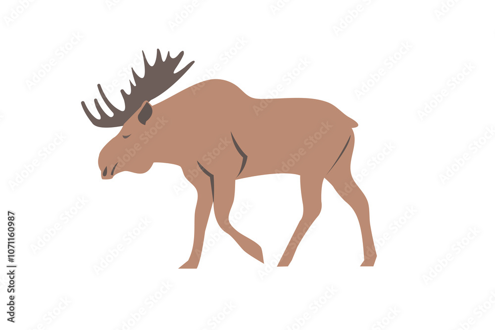 Fototapeta premium Illustration of moose isolated on white background. Moose animal vector illustration