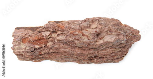 One piece of tree bark on white background, top view