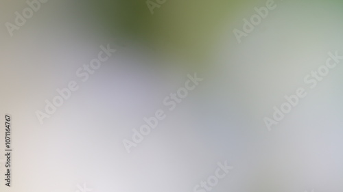 Light Gradient Color Background Design