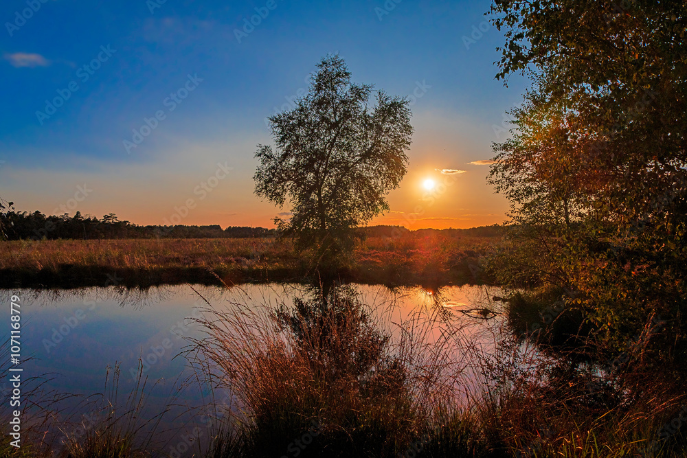 Sunset at the Pietzmoor (Pietz Bog) at Schneverdingen in the Lüneburg Heath, Lower Saxony, Germany