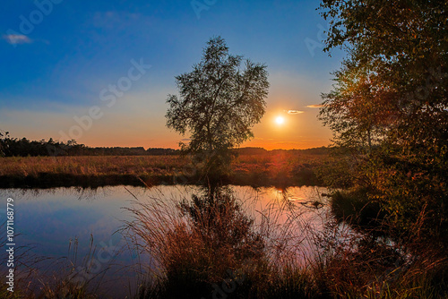 Obraz na płótnie Sunset at the Pietzmoor (Pietz Bog) at Schneverdingen in the Lüneburg Heath, Lower Saxony, Germany w salonie