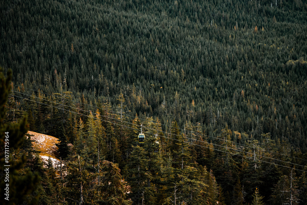 Naklejka premium Vancouver BC, Canada landscape looking from Sea to Sky. Winding roads and mountain ranges.