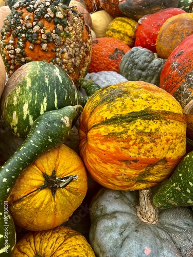 pumpkins and gourds