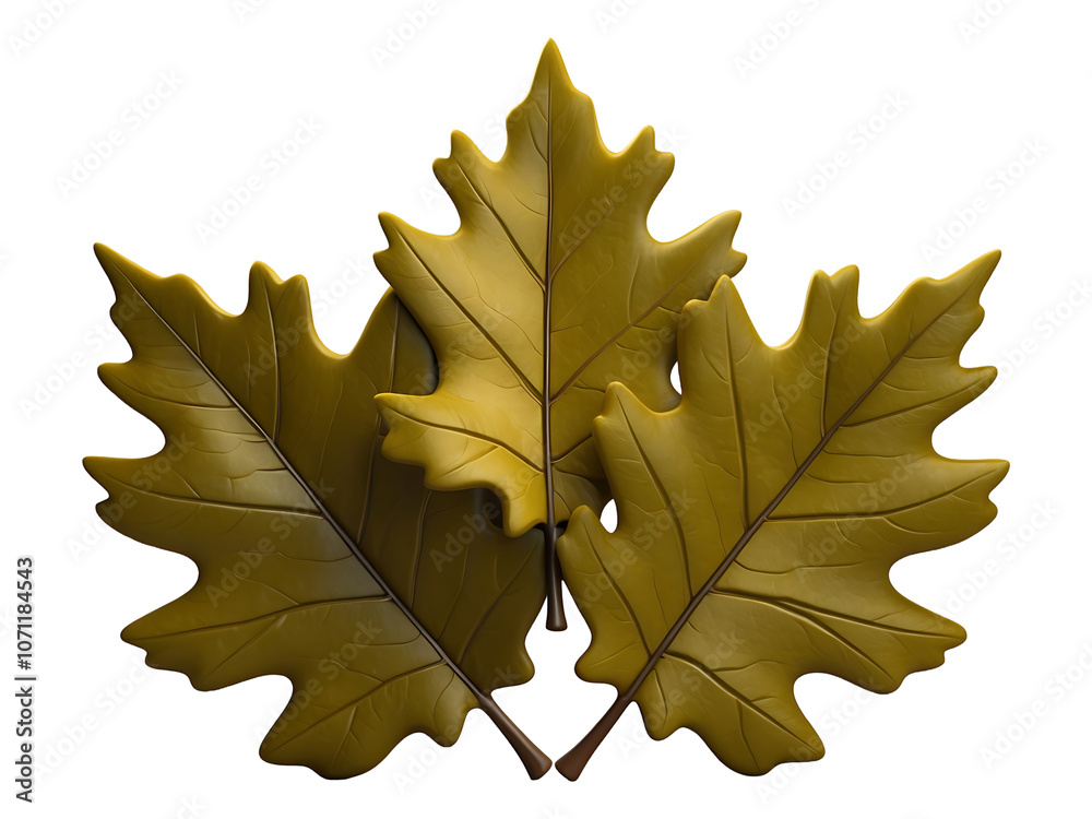 Fototapeta premium Three Golden Oak Leaves