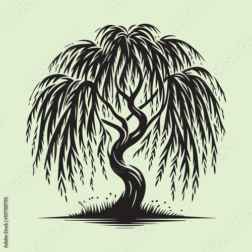 Graceful Weeping Willow Tree silhouette vector icon black and white