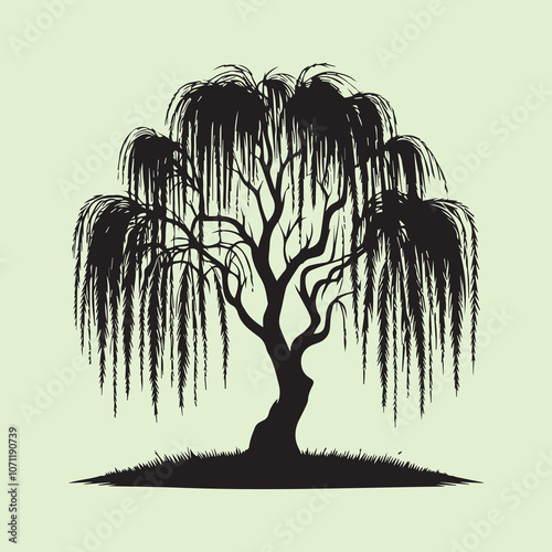 Graceful Weeping Willow Tree silhouette vector icon black and white