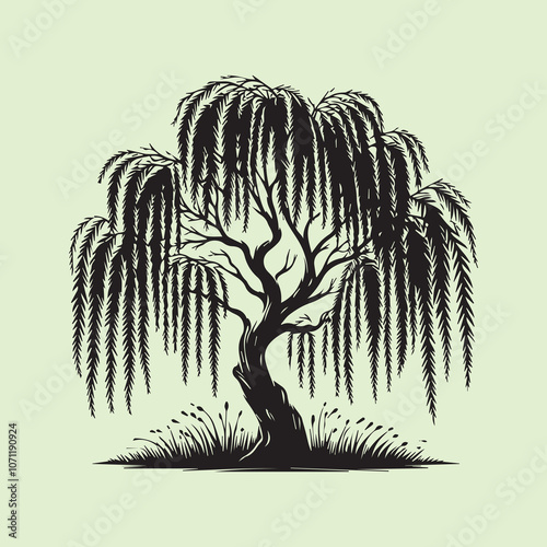 Graceful Weeping Willow Tree silhouette vector icon black and white