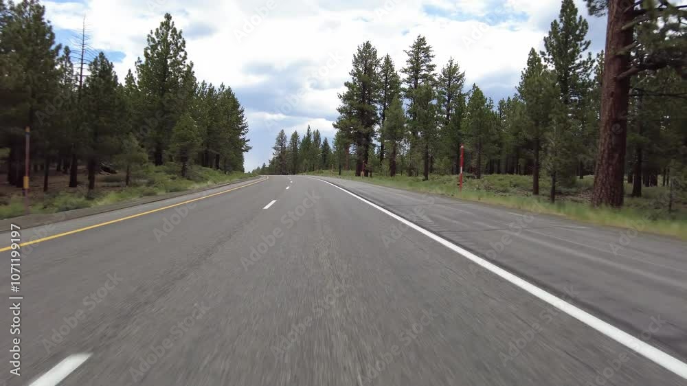 395 Scenic Byway North Mammoth Lakes Front View 02 Driving Plate Sierra Nevada Mts California 395 Scenic Byway North Mammoth Lakes Front View 02 Driving Plate Sierra Nevada Mts California
