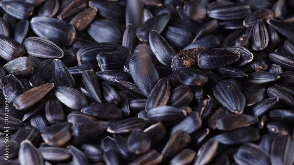 The sunflower seeds on a plate close-up. The sunflower seeds after harvest. Pile of Dried Sunflower Unpeeled Seeds, a Healthy Source of Vitamins in Vegan Food. The sunflower seeds on a plate close-up. The sunflower seeds after harvest. Pile of Dried Sunflower Unpeeled Seeds, a Healthy Source of Vitamins in Vegan Food.