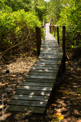 wooden bridge, landscape with wooden bridge, pedestrian bridge with wooden railings crossing a forest with dense vegetation, in a sunny ia. Bahia solano in el choco