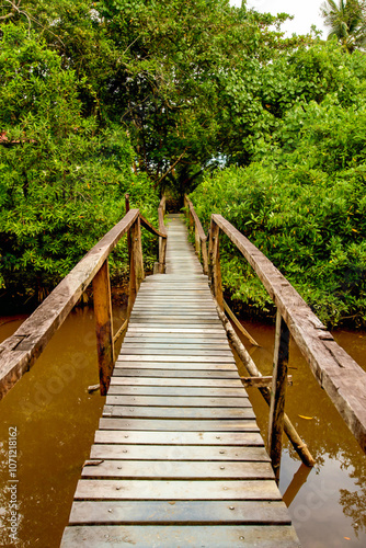 wooden bridge, landscape with wooden bridge, pedestrian bridge with wooden railings crossing a forest with dense vegetation, in a sunny ia. Bahia solano in el choco