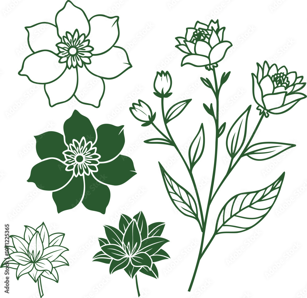 Fototapeta premium set of flowers