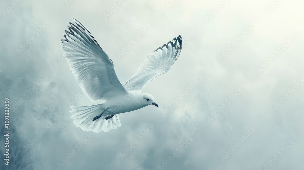 Obraz premium White Bird Soaring Through Clouds