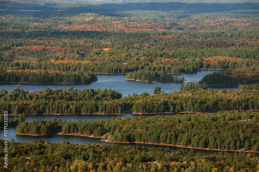 Naklejka premium autumn landscape with lakes