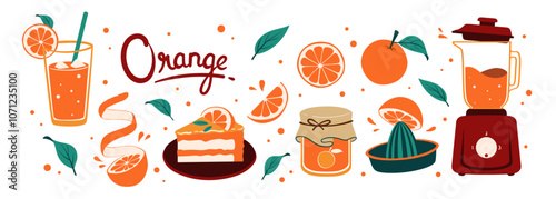 Orange set vector illustration