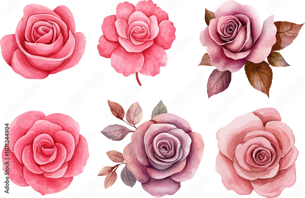 pink roses pink roses