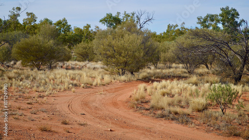 An outback road in central Australia.