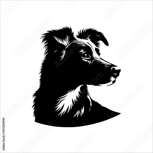 Art & Illustration