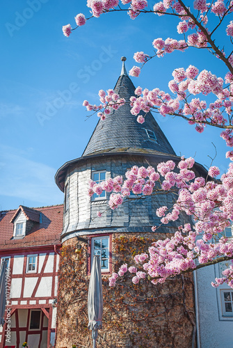 Büttelturm (bugle tower) in spring at the old town of Hofheim am Taunus, Hesse, Germany photo