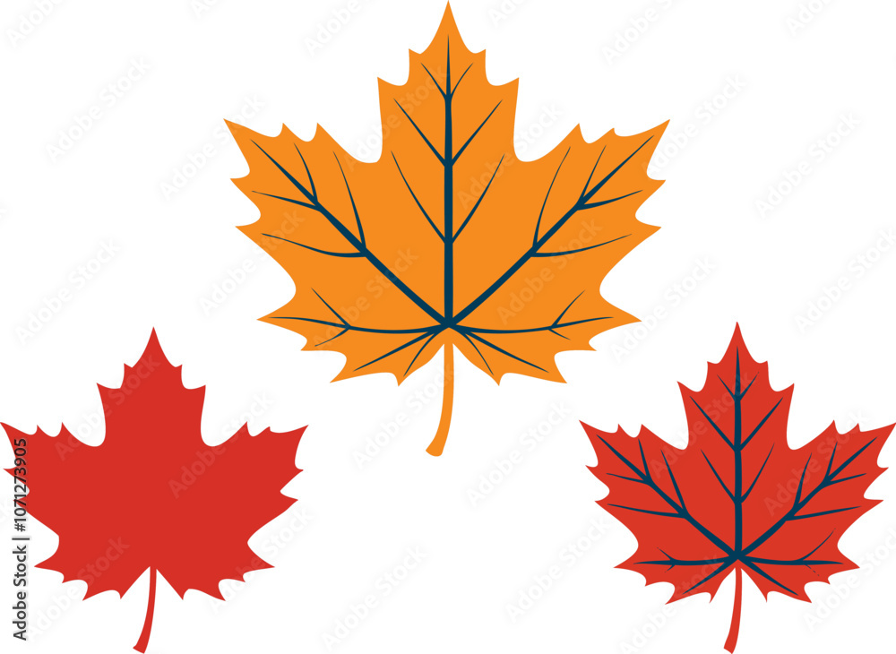 Set of maple leaves icons isolated on white background. Bright autumn red maple leaf, black silhouette and outline. Vector illustration. Set of maple leaves icons isolated on white background. Bright autumn red maple leaf, black silhouette and outline. Vector illustration.
