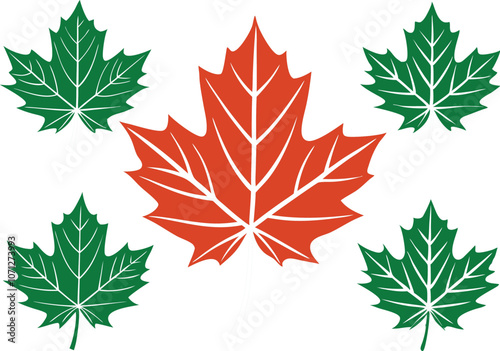 Set of maple leaves icons isolated on white background. Bright autumn red maple leaf, black silhouette and outline. Vector illustration.