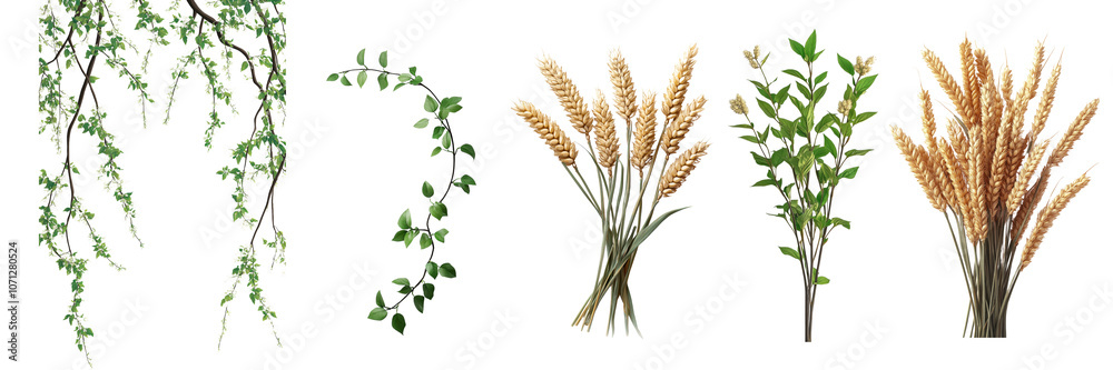 Fototapeta premium collection of various plants including vines, leaves, and wheat. greenery adds fresh touch, while wheat brings rustic feel to any setting. ,PNG Transparency