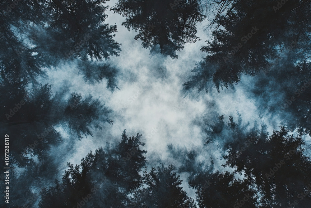 Obraz premium Aerial drone forest survey photograph, top down bird's eye view, woodland trees background, surveying landscape trees