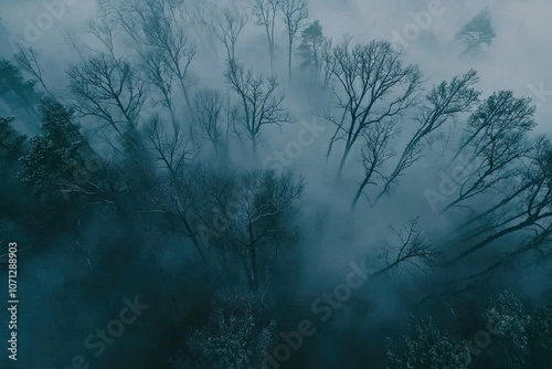 Aerial drone forest survey photograph, top down bird's eye view, woodland trees background, surveying landscape trees