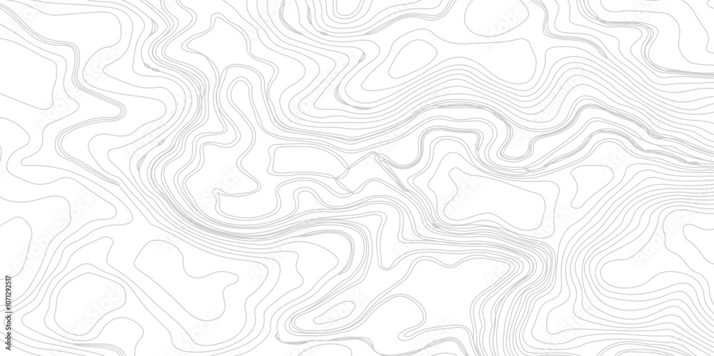 Fototapeta premium Topography background. Vector banner. Modern design with White background with topographic wavy pattern
