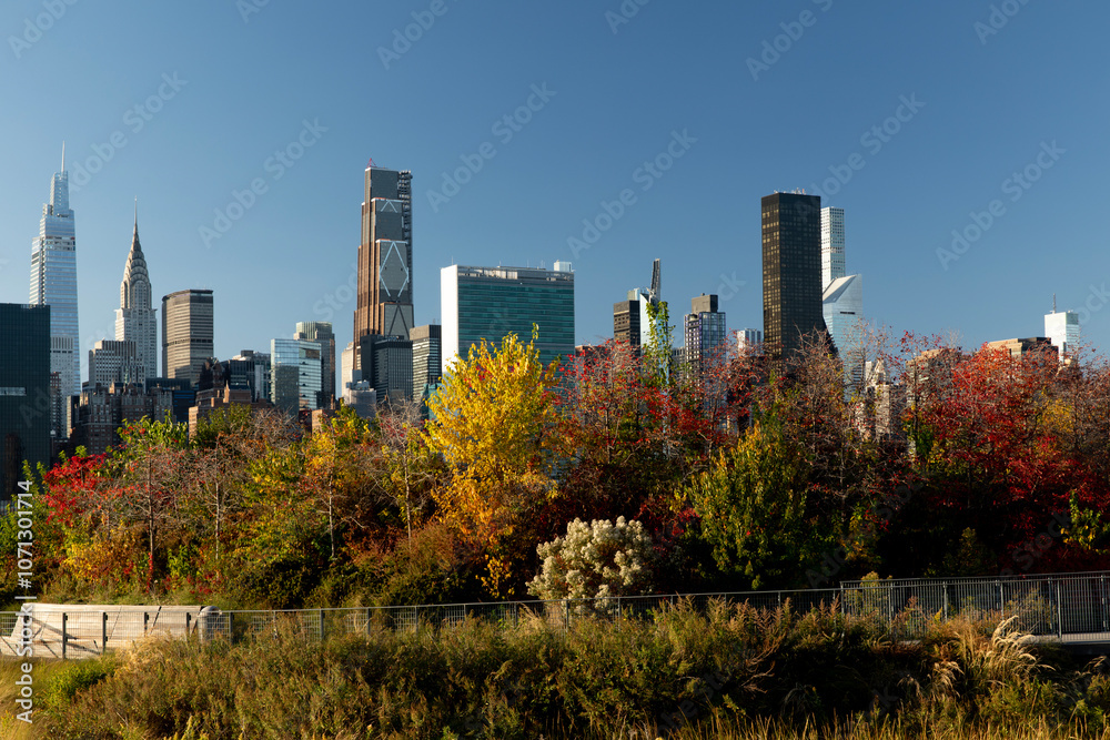 Autumn foliage and that Manhattan skyline Autumn foliage and that Manhattan skyline