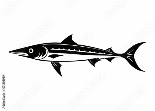 Barracuda silhouette vector sea fish on white background